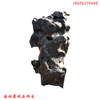 綠化造景石黑色景觀石圖片清遠(yuǎn)黑色太湖石廠家8
