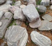 深圳泰山石批发自然园林家居小区造景园林景观石草坪驳岸石