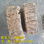 郑州：哪里有木屑颗粒多钱一吨(哪家强)图片0