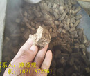 欢迎订购：河北邢台环保燃料木屑颗粒公司地址图片