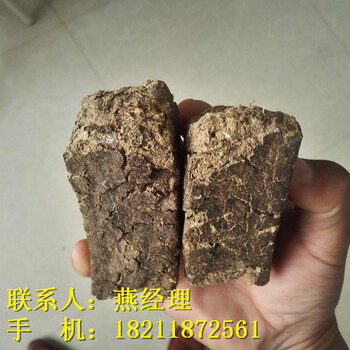 山东德州市8mm木屑颗粒燃料就近供货