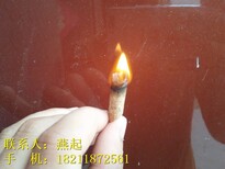 永州：附近花生壳颗粒价格(品牌)图片0