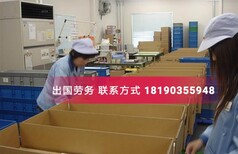 出国劳务法国新西兰高工资有保障月薪可达3万，包吃住图片3