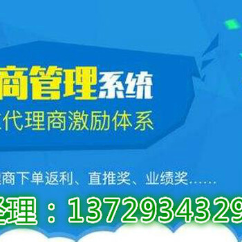 上海定制全球全返系统平台软件开发