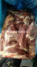 烟台招远进口冷冻牛羊肉批发厂家,烧烤食材牛板筋批发心管牛碎肉羊碎肉肋条批发价格图片