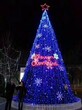 安徽宣城大型梦幻灯光展商场钢结构大型圣诞树定做厂家图片