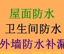 东莞市莞城附近哪里有漏水防水补漏公司图片