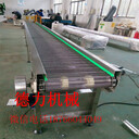 耐高溫網(wǎng)帶輸送機(jī)不銹鋼網(wǎng)帶輸送機(jī)食品網(wǎng)帶輸送機(jī)