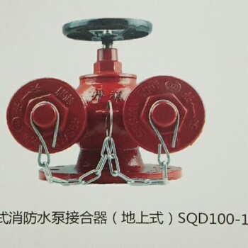 新式消防地上水泵接合器100