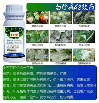多抗霉素---防治白粉病---強(qiáng)力修復(fù)病菌---藥批發(fā)