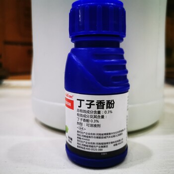 黃瓜番茄西瓜灰霉病-急時雨丁子香酚可溶液劑-殺菌劑批發(fā)