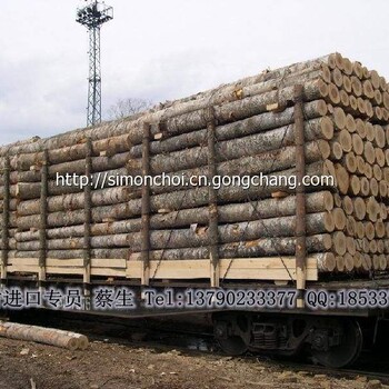 青岛进口木材板材报关会产生哪些费用