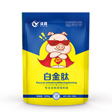 养好仔猪的6个关键时期图片
