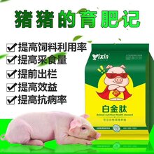 生猪催肥饲料添加剂猪催肥饲料添加剂图片