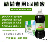 em菌液葡萄种植专用em菌液使用方法