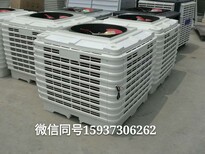 猪舍用风机水帘湿帘降温水帘图片5