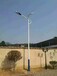 河南濮阳6米高太阳能路灯新农村建设路灯安装