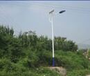 云南玉溪7米40W太阳能路灯价格多少图片