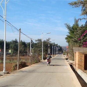 廣元LED路燈廠家，整套多少錢