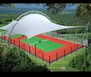 福州膜结构网球场,三明膜结构遮阳篷设计施工图片