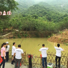 深圳龙岗园山老虎沟生态农场春游+野炊+登山+农家乐一日游