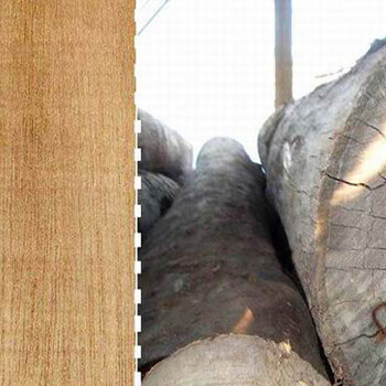 非洲菠萝格材料刚果南非进口原材防腐木加工
