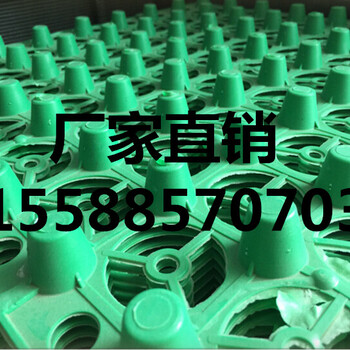 杭州車庫(kù)排水板無(wú)錫疏水板廠家