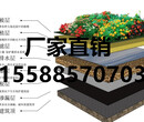 塑料PVC防潮防水板屋顶排水板应用价格155-885-70703图片