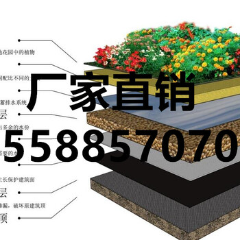 柳州500500片材屋顶花园绿化蓄排水板规格