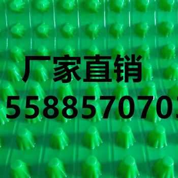 四川聚乙烯高抗壓植草格價格1.8公分PVC蓄排水板廠家