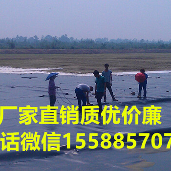 巢湖0.2mm魚(yú)池防滲膜0.3mm魚(yú)塘養(yǎng)殖防滲膜鋪設(shè)施工壽命使用范圍