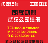 武昌区代理记帐(记帐、报税、补账审计报告咨询