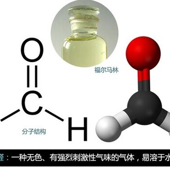 无锡好的除甲醛公司美景来美博士