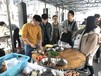 深圳市鹏润假期老虎沟生态农庄拓展训团队游戏趣味活动