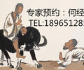 厦门程十发字画鉴定中心