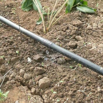 各种规格滴灌管农业灌溉滴灌管质量放心