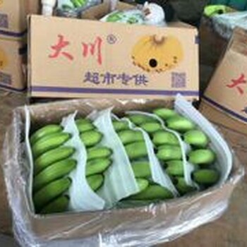 云南香蕉批发代办