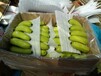 基地香蕉