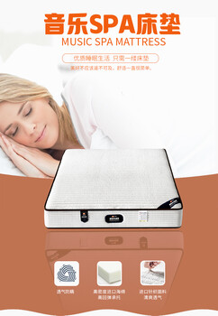 音樂SPA床墊床墊,酒店床墊,共享床墊,智能床墊,深圳市共享明天