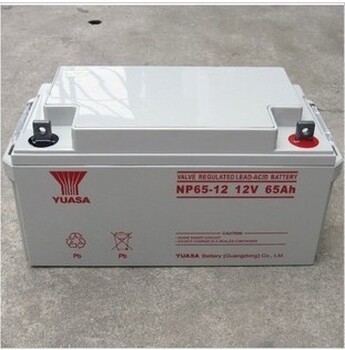 新乐供应汤浅蓄电池NP65-12适于电子设备UPS电源