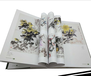 深圳教本教材排版印刷，月刊設計，宣傳畫冊設計，宣傳品設計印刷