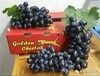 新鲜水果批发南非无籽黒提新鲜葡萄进口水果批发江南市场货源