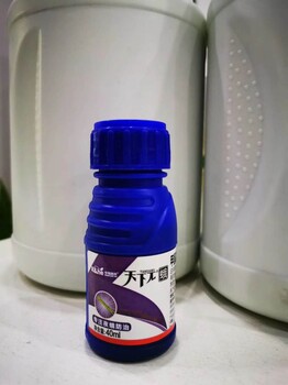 防治蔬菜瓜果甜菜夜蛾、斜紋夜蛾、二點委夜蛾等青蟲