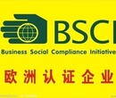 2017年8月BSCI又做出重大决策取消3大审核机构合作关系图片