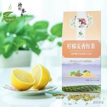 各种水果茶的好处源野茶香水果红茶水果绿茶女性白领水果茶