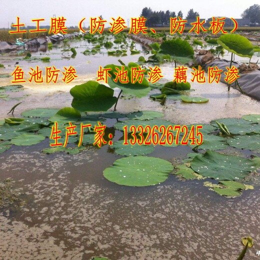 hdpe鱼塘土工膜价格用途厂家hdpe鱼池防渗膜土工膜用途公司