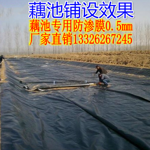 本溪防渗膜报价_防渗膜HDPE