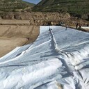 復(fù)合土工膜_廠家批發(fā)復(fù)合土工膜600克規(guī)格型號