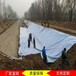 鲁宇短纤土工布,上海土工布厂家批发SNG-300克土工布滤水土工布