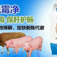 饲料脱霉剂品牌猪用脱霉剂图片